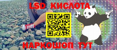 PSILOCYBIN Канаш