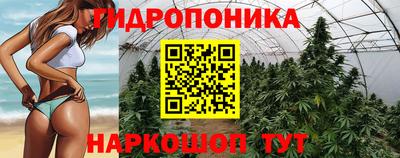 гидропоника Камышлов