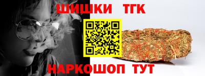 гидропоника Камышлов