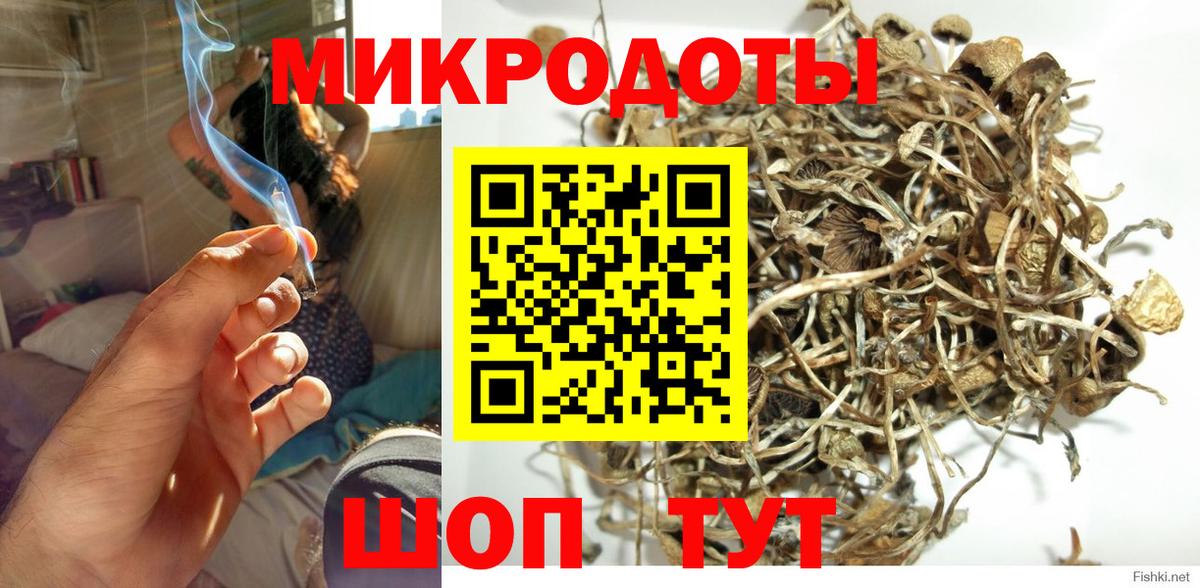 Галлюциногенные грибы Psilocybe  Междуреченск  Галлюциногенные грибы Psilocybe 
