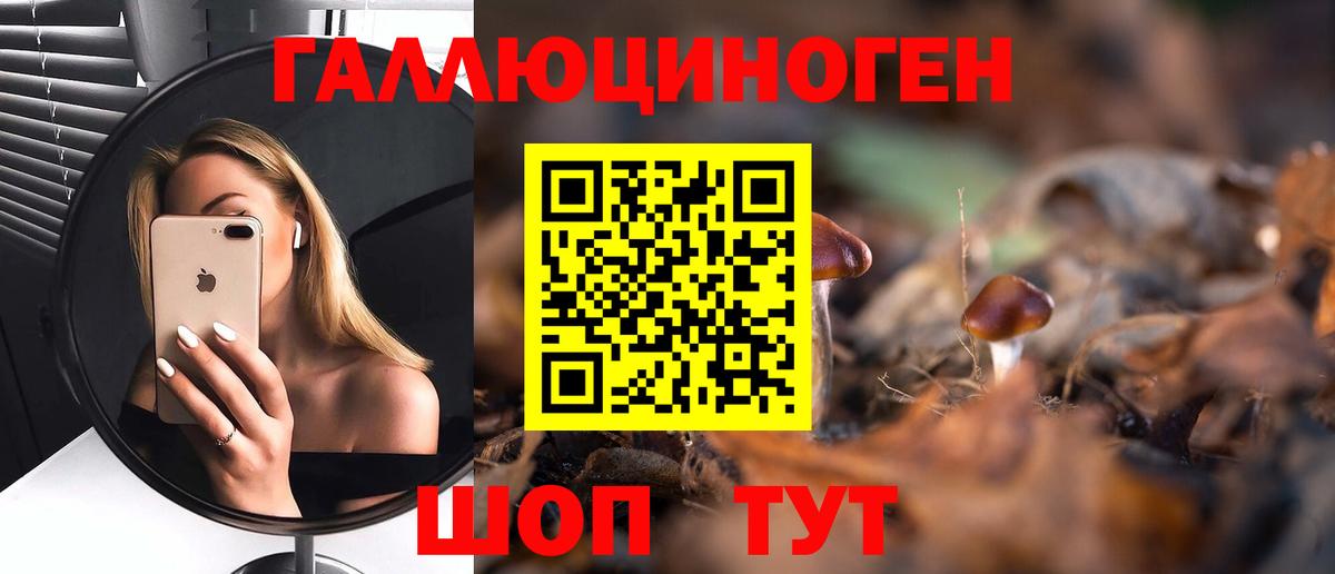 Галлюциногенные грибы Psilocybe Междуреченск